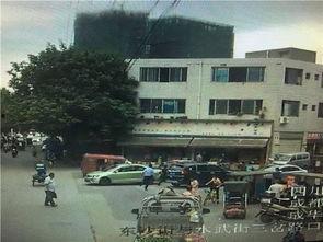 路边吃瓜群众小刘,街头“吃瓜群众”的趣味观察