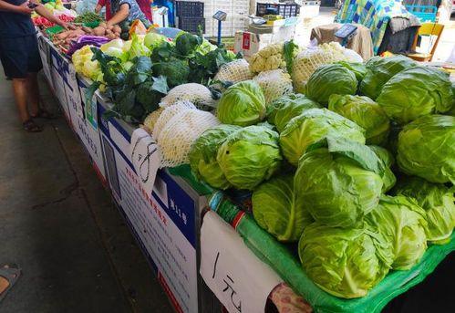 出门摆摊吃瓜,瓜香四溢，揭秘摆摊生活点滴