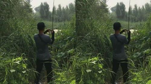 小鱼海滩吃瓜,夏日吃瓜盛宴，畅享海滨悠闲时光