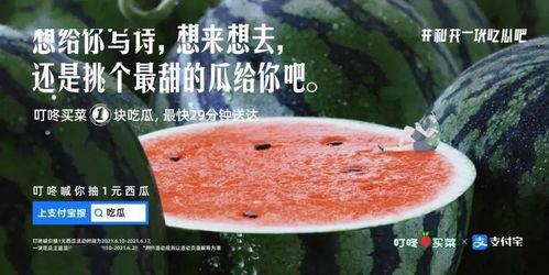 花式吃瓜文案句子图片,文案与图片的视觉盛宴