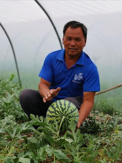 近期吃瓜事件河南,吃瓜群众见证的近期热点事件盘点