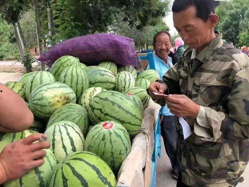 金昌天庆吃瓜,一场吃瓜盛宴背后的故事