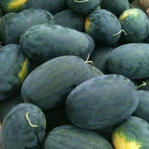 梦见吃京瓜,京瓜美食之旅