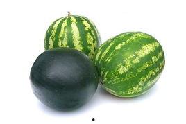 民权吃瓜事件,一场网络舆论的风暴与反思