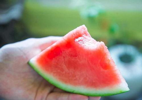 快乐吃瓜配乐,跟随快乐吃瓜配乐，畅游欢乐音乐之旅