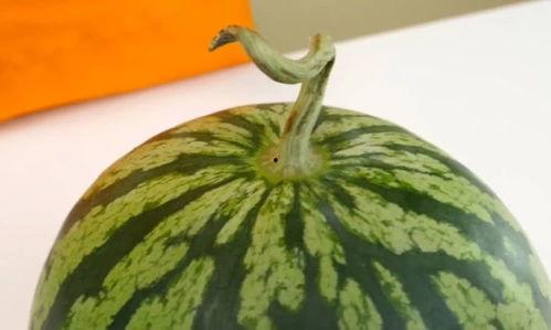 吃瓜看瓜讨论小组,畅谈娱乐圈风云变幻