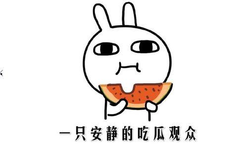 吃瓜事件全集,揭秘娱乐圈风云变幻的幕后真相