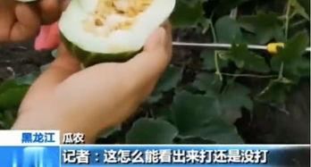 吃瓜须谨慎,揭秘网络谣言背后的真相