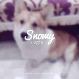 吃瓜喵女士,揭秘娱乐圈幕后故事