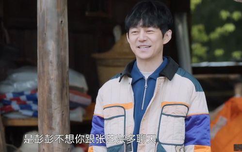 快乐吃瓜杨紫,快乐吃瓜，演绎娱乐圈的清新态度