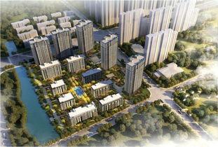 宁波世茂滨江吃瓜,夏日吃瓜盛宴，共享悠闲时光