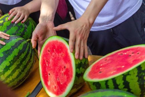 学校里的吃瓜,揭秘校园里的那些“瓜”