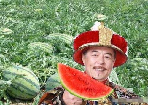 乾隆吃瓜搞笑视频大全,搞笑视频大盘点
