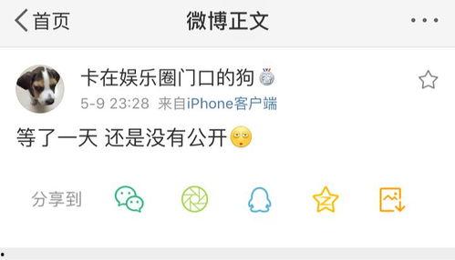 爆料吃瓜up,吃瓜up主带你探秘明星幕后故事