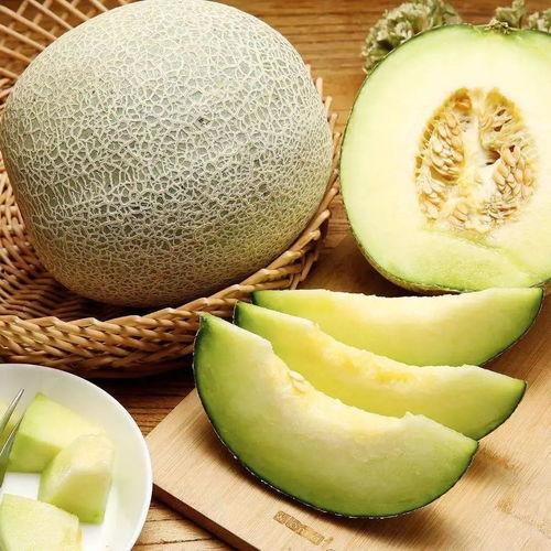 上火吃蜜瓜,夏日消暑佳品，甜蜜解燥新选择