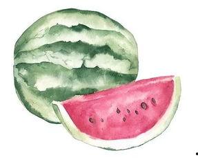 独立吃瓜3,揭秘娱乐圈背后的真相与秘密