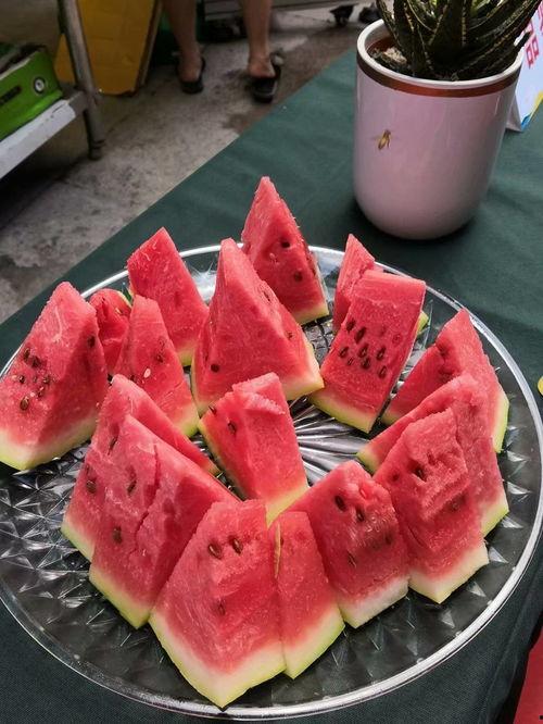 瓜哥带你吃西瓜重庆,瓜哥带你领略重庆夏日西瓜盛宴