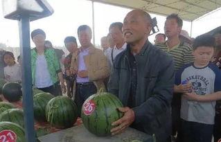 永城最新吃瓜群众,最新热点事件盘点