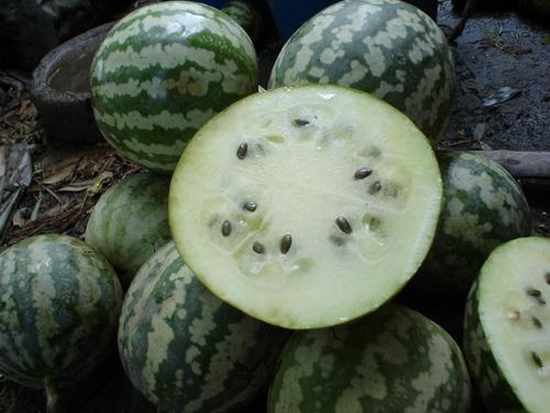 来瓜咋吃,来瓜咋吃的多样美味探索