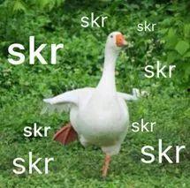 skr吃瓜,揭秘娱乐圈最新热点事件